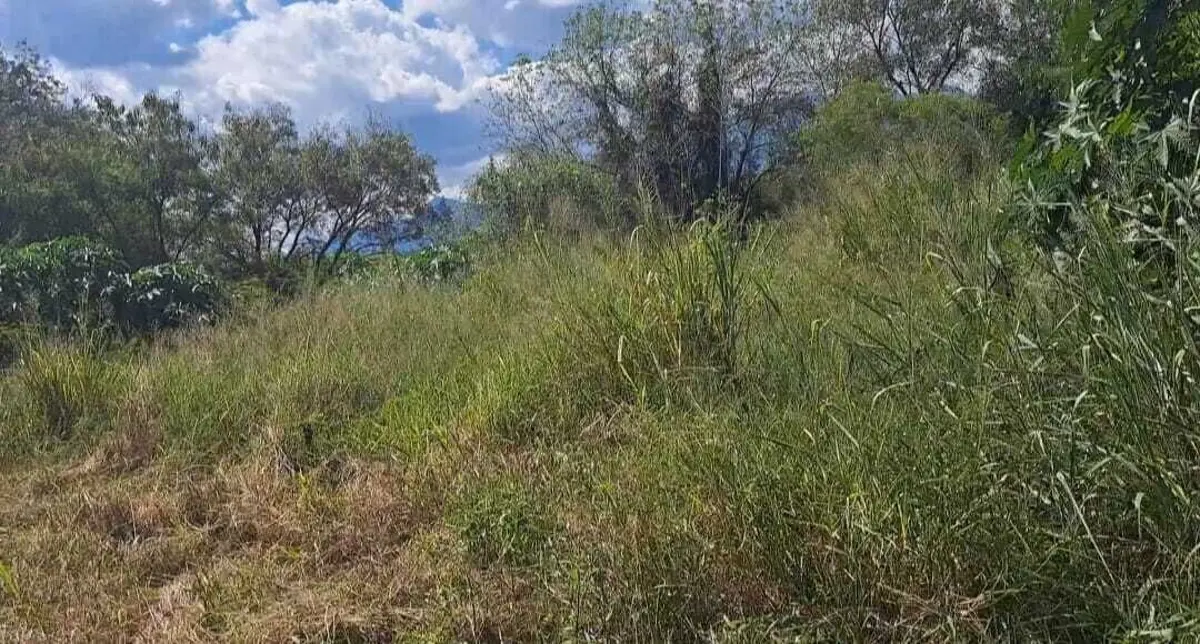 Terreno en venta en Sección Buenavista, Allende — foto 1 de 11