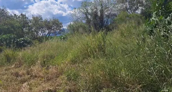 Terreno en Venta en Sección Buenavista, Allende, Nuevo León 1