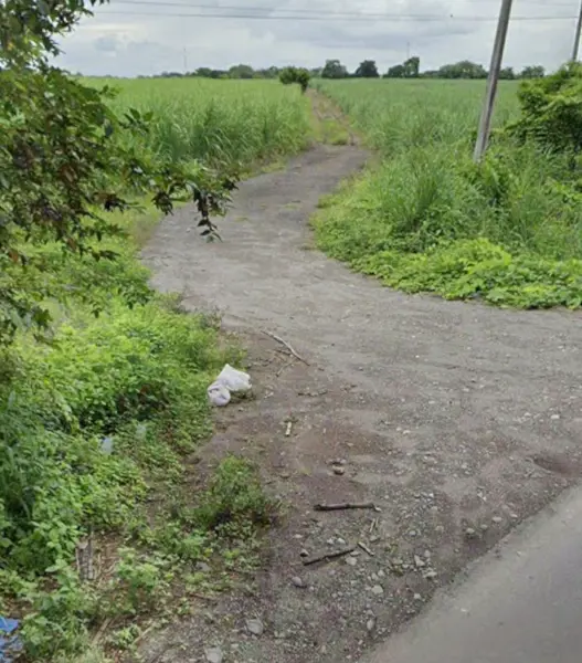 Terreno en VENTA, orilla de carretera y vías del Ferrocarril 14.8 hectáreas en Mata Loma Veacruz,Ver