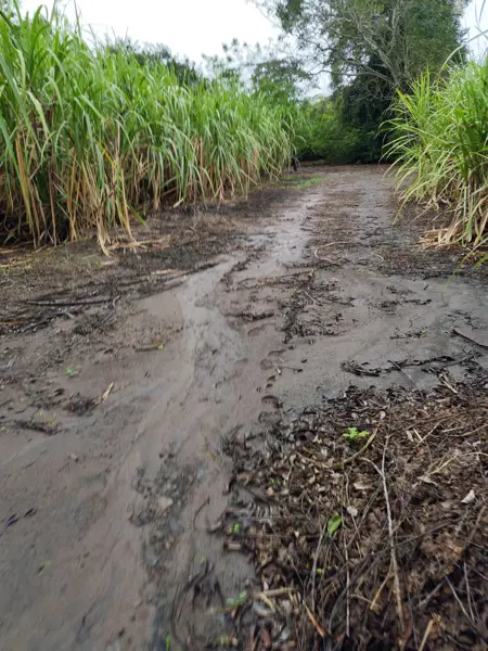 Terreno en venta en Mata Loma, Manlio Fabio Altamirano — foto 3 de 4