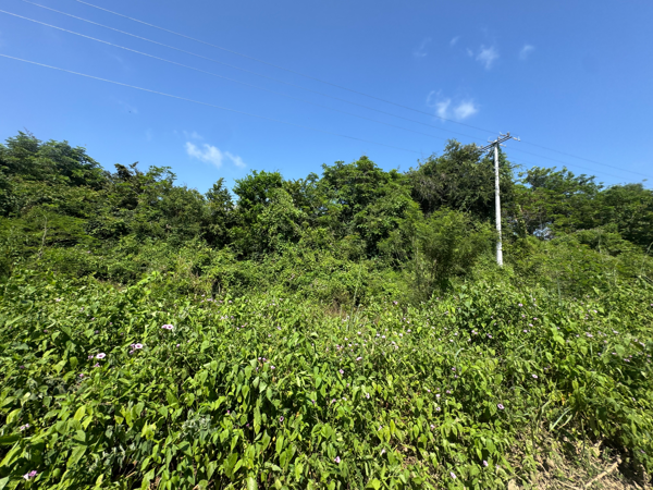 Terreno en venta en Solera de Agua, Lázaro Cárdenas — foto 3 de 10