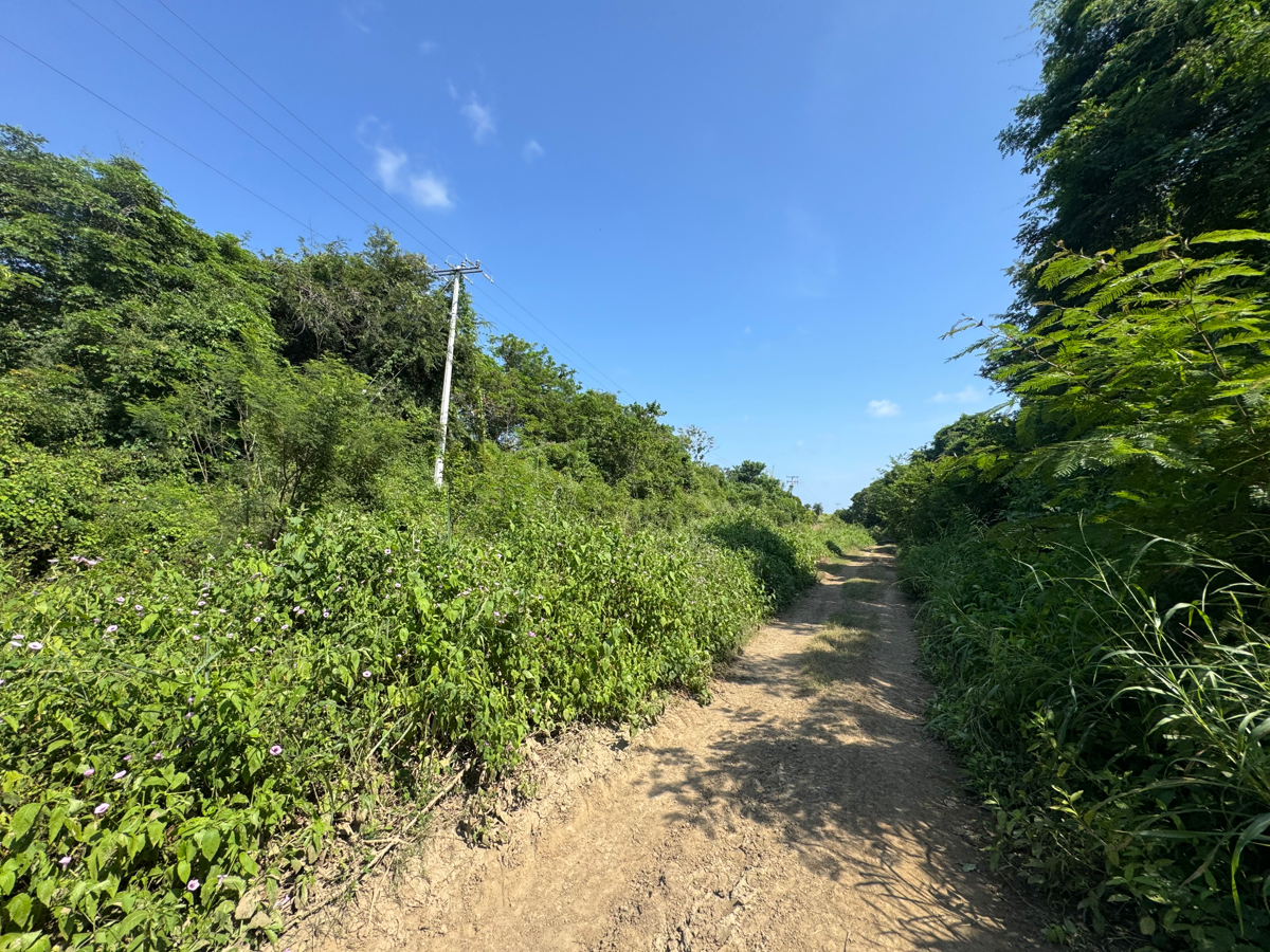 Terreno en venta en Solera de Agua, Lázaro Cárdenas — foto 1 de 10