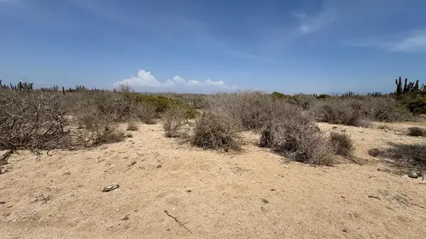 Terreno en venta en Agua Blanca, La Paz — foto 3 de 3