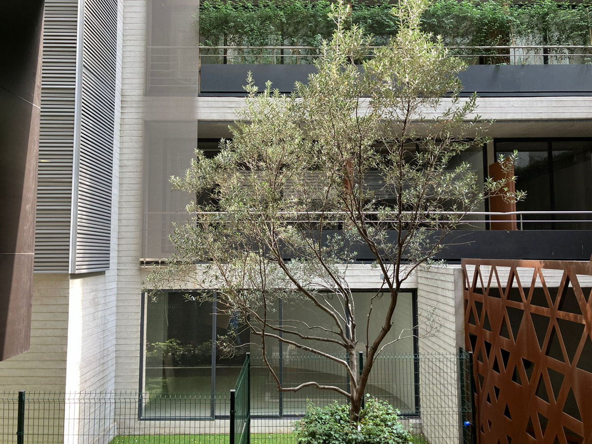 Departamento en venta en Polanco IV Sección, Miguel Hidalgo — foto 1 de 14