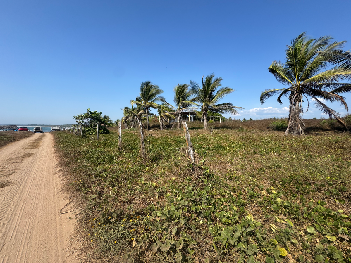 Terreno en venta en Joluta, La Unión de Isidoro Montes de Oca — foto 1 de 25