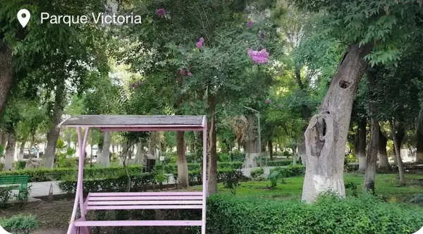 TERRENO CENTRO LERDO