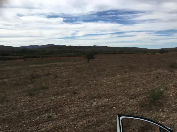 Terreno en venta en Barras de Piaxtla, San Ignacio — foto 2 de 21