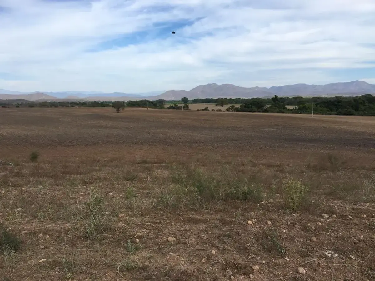 Terreno en venta en Barras de Piaxtla, San Ignacio — foto 1 de 21