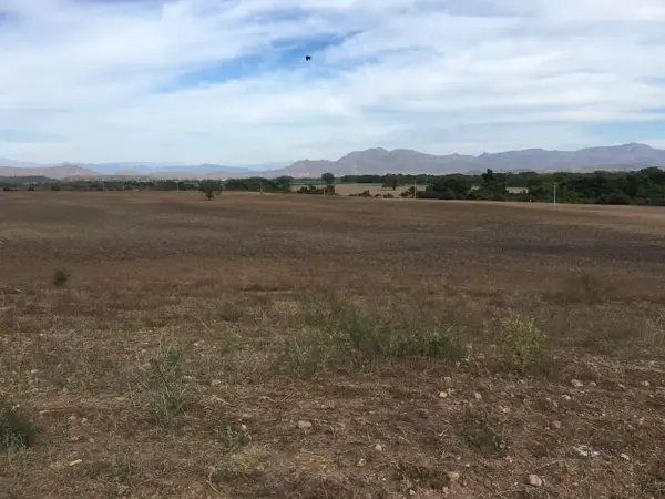 Terreno en venta en Barras de Piaxtla, San Ignacio, Sinaloa