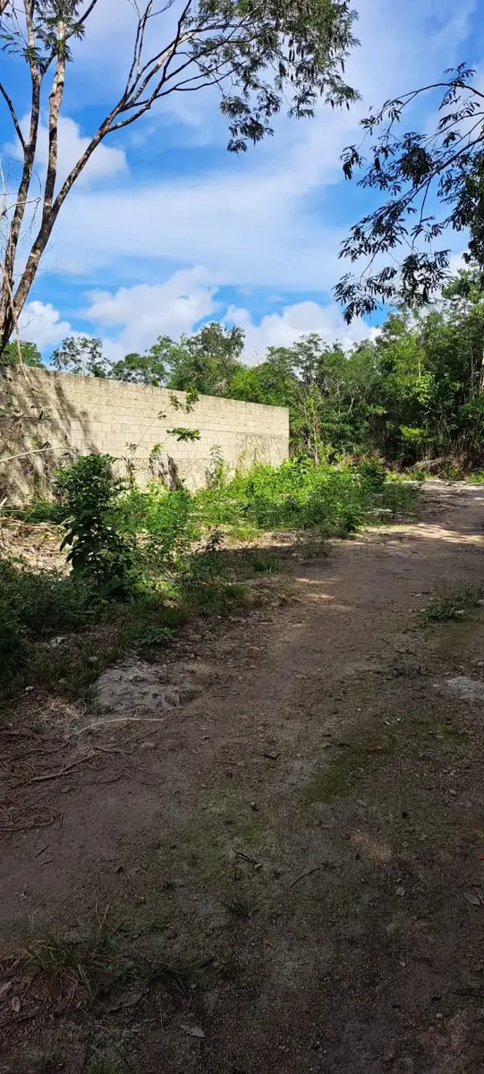 Terreno en venta en Alfredo V. Bonfil, Benito Juárez — foto 1 de 4