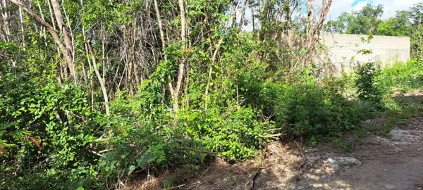 Terreno en venta en Alfredo V. Bonfil, Benito Juárez — foto 3 de 4