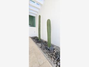 Casa en venta en Cuayantla, San Andrés Cholula — foto 2 de 29