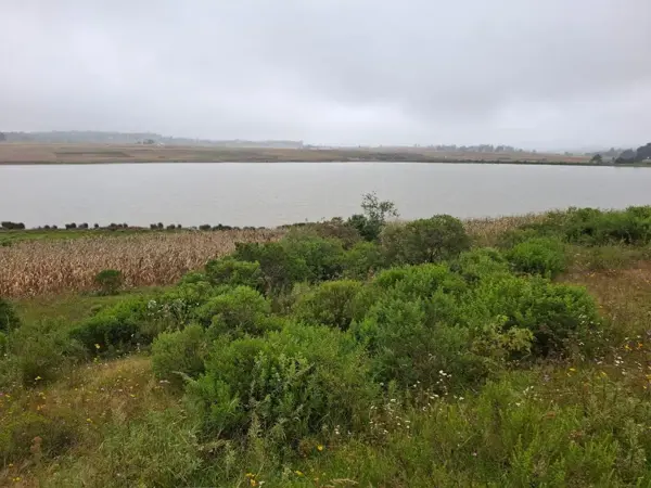 Terreno en Venta San Juan Tuxtepec, Chapa de Mota