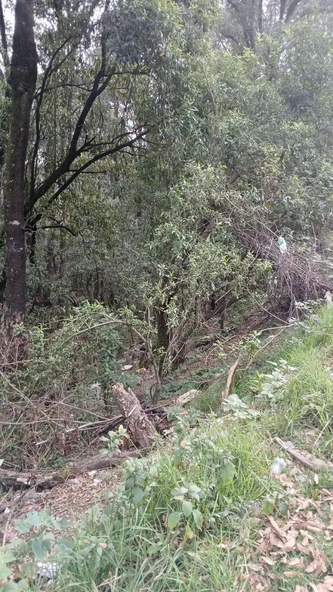 Terreno en venta en Santa Maria Mazatla, Jilotzingo — foto 1 de 6