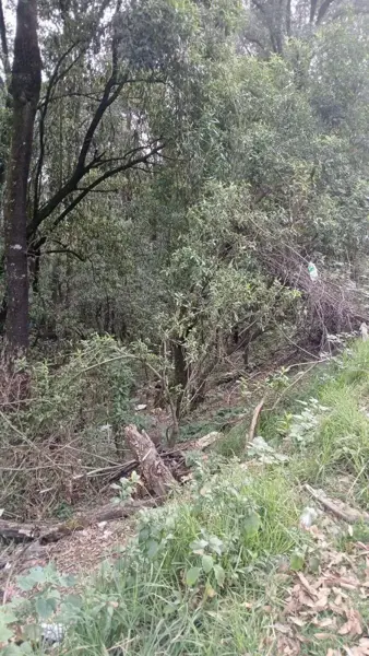 Terreno de 70010 m² en Venta en Santa María Mazatla