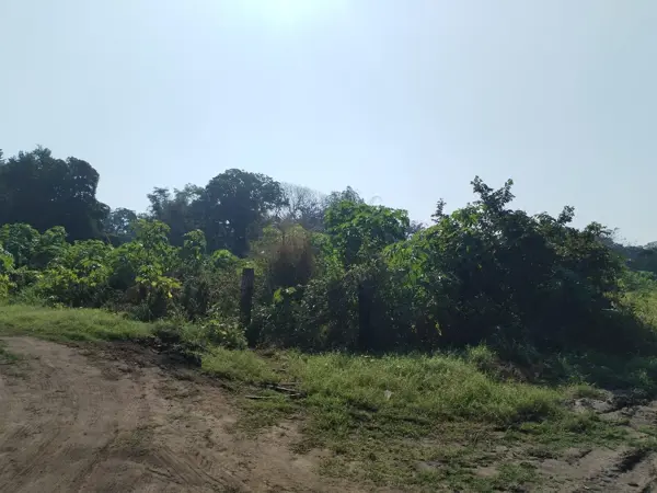 Terreno en venta en La Bocana (Dos Bocas), Medellín de Bravo — foto 3 de 4