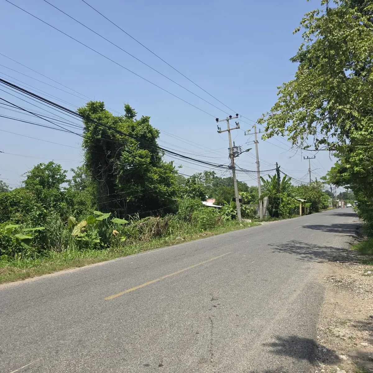 Terreno en venta en González 1ra. Sección, Centro — foto 1 de 6