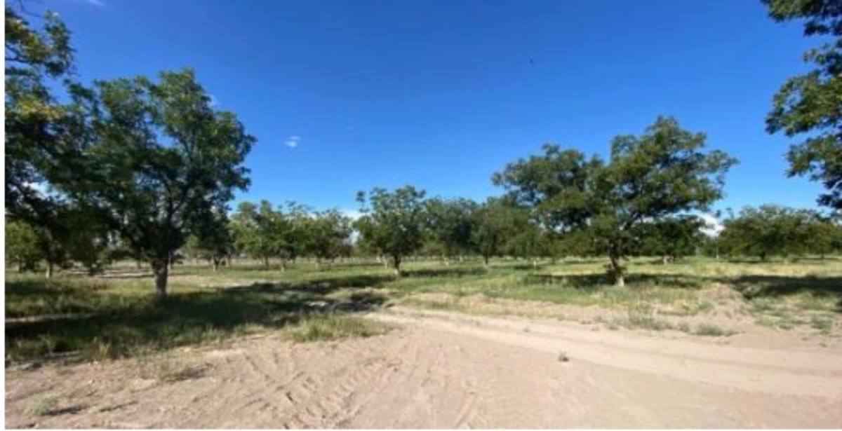 Finca-Rancho en venta en Las Nogaleras, Matamoros — foto 1 de 25