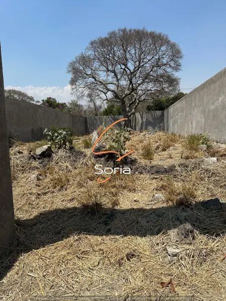Terreno en venta en Oaxtepec Centro, Yautepec — foto 2 de 11