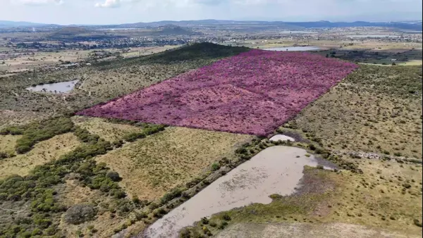 Terreno en venta en Las Taponas, Huimilpan — foto 2 de 5
