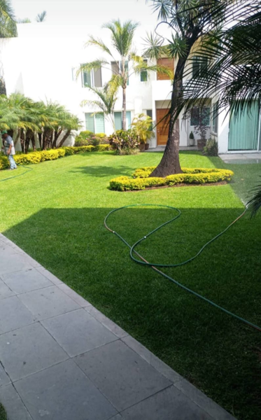 Departamento en renta en Vista Hermosa, Cuernavaca — foto 3 de 8
