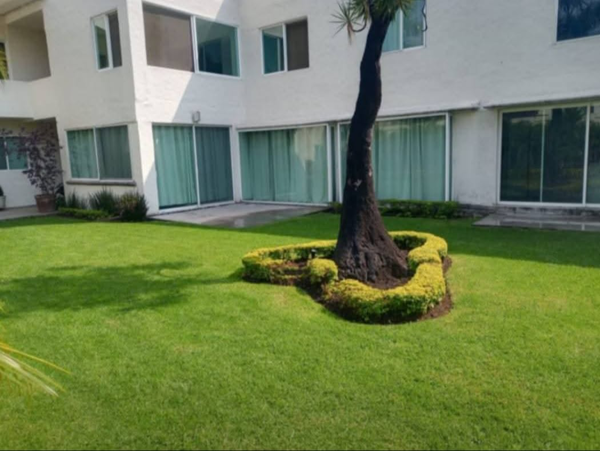 Departamento en renta en Vista Hermosa, Cuernavaca — foto 2 de 8