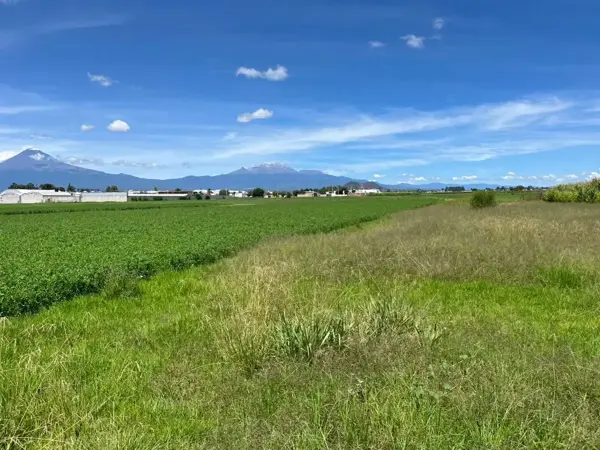 Terreno en venta en Chipilo de Francisco Javier Mina, San Gregorio Atzompa — foto 3 de 3