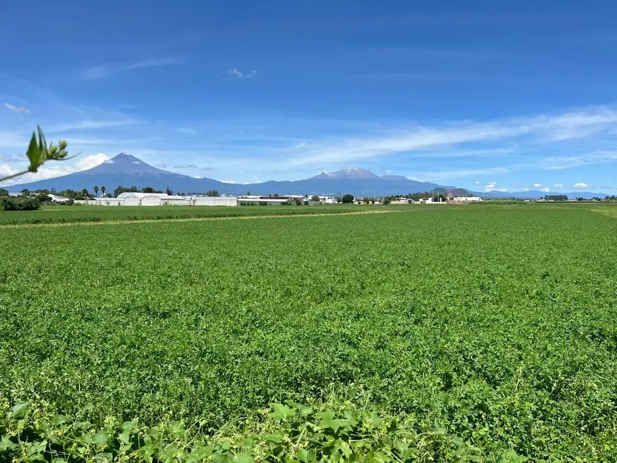 Terreno en venta en Chipilo de Francisco Javier Mina, San Gregorio Atzompa — foto 1 de 3