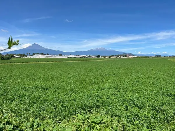 Terreno en venta en Chipilo de Francisco Javier Mina, San Gregorio Atzompa, Puebla