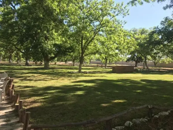 Terreno en venta en Del Marquez, Parras — foto 2 de 16