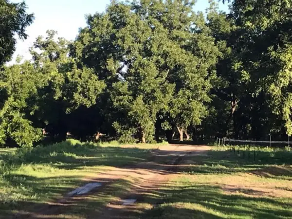 Terreno en venta en Del Marquez, Parras — foto 3 de 16