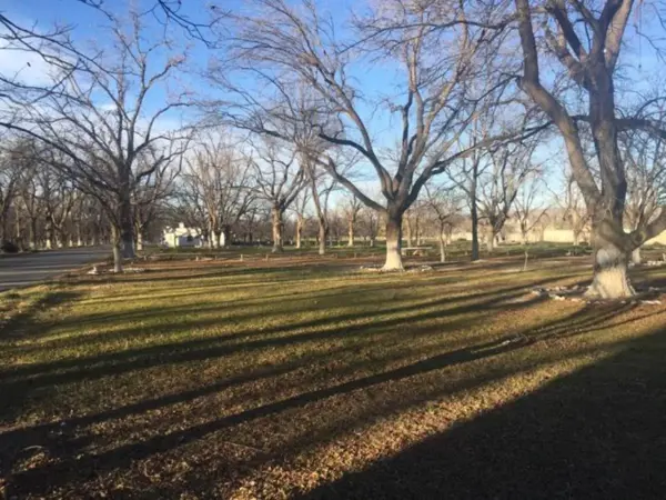 Terreno en venta en Del Marquez, Parras — foto 2 de 14