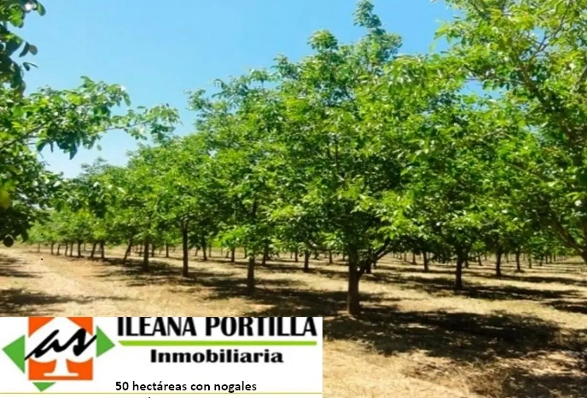 Finca-Rancho en venta en Francisco I Madero, Torreón — foto 1 de 4