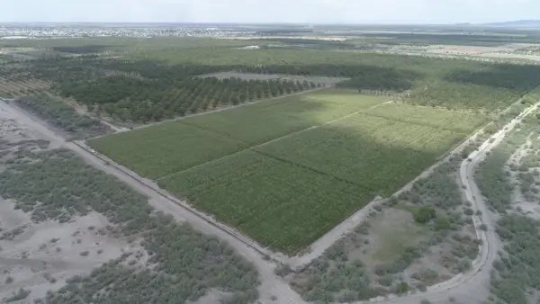 Finca-Rancho en venta en Francisco I Madero, Torreón — foto 2 de 4