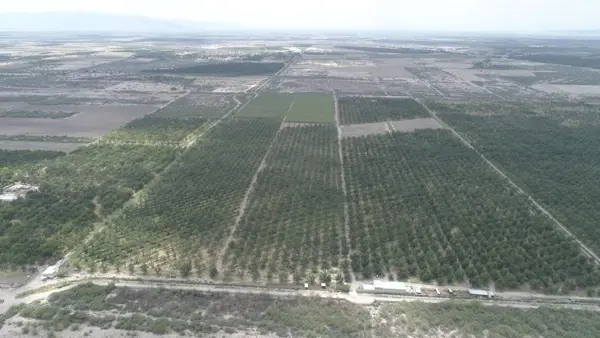 Finca-Rancho en venta en Francisco I Madero, Torreón — foto 3 de 4