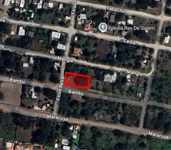 Terreno en venta en Lomas de Miralta, Altamira — foto 2 de 9