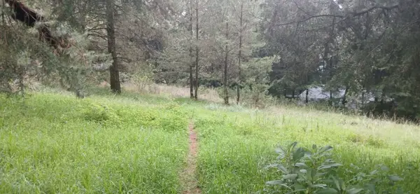 Terreno en venta en María Candelaria, Huitzilac — foto 3 de 5