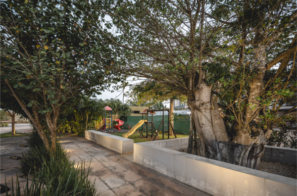 Terreno en venta en Santa Gertrudis Copo, Mérida — foto 2 de 8