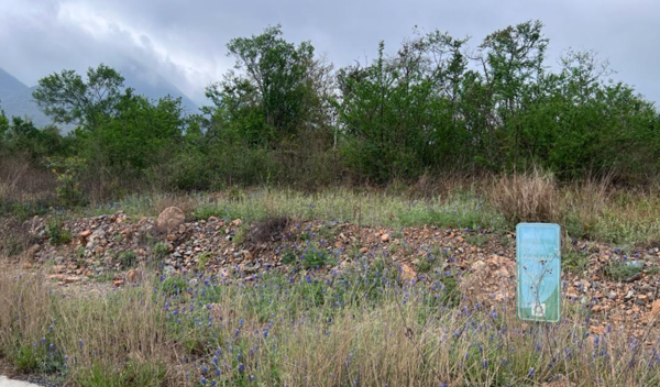 Terreno en Venta en Los Rodriguez, Santiago, Nuevo León 5