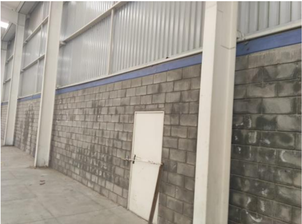 Bodega en Renta en Irapuato, Irapuato, Guanajuato 5