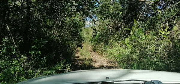 Terreno en venta en Jardines de Mérida, Mérida — foto 2 de 5