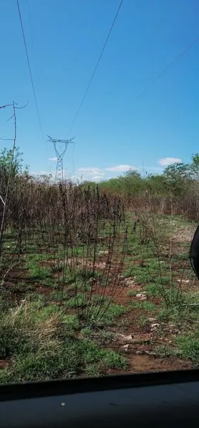 Terreno en venta en Jardines de Mérida, Mérida — foto 3 de 5