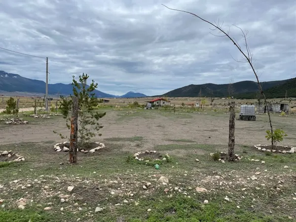 Terreno en Venta en San Antonio de las Alazanas, Arteaga, Coahuila de Zaragoza 5
