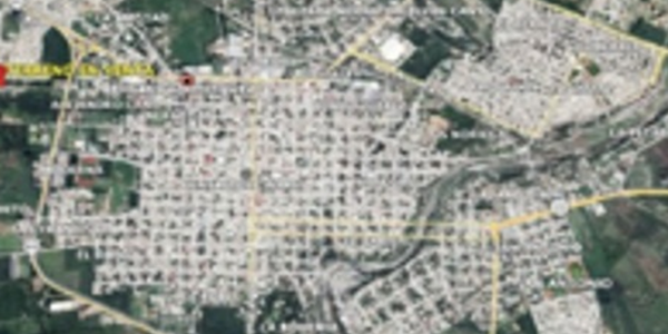 Terreno en Venta en Linares Centro, Linares, Nuevo León 3