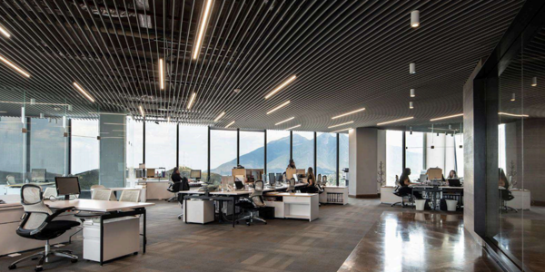 Oficina en Renta en Zona Valle Oriente, San Pedro Garza García, Nuevo León 5