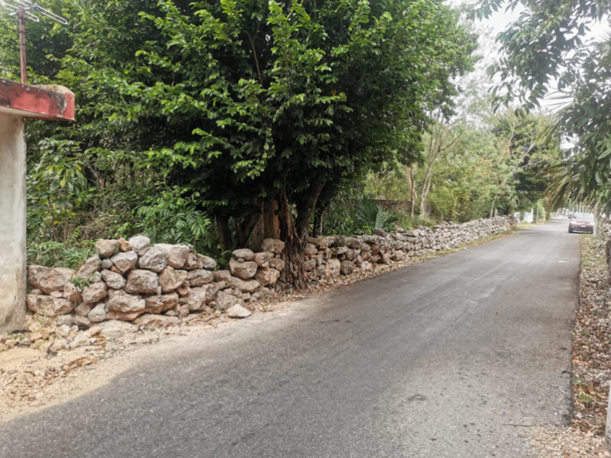 Terreno en venta en Baca, Baca — foto 1 de 9