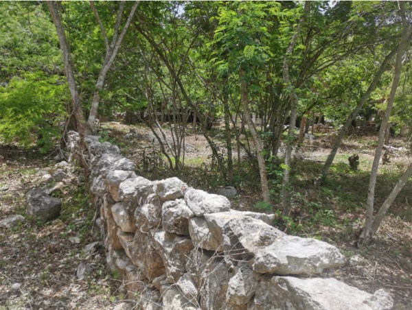 Terreno en venta en Baca, Baca — foto 2 de 9