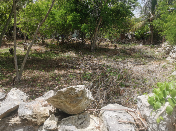 Terreno en venta en Baca, Baca — foto 3 de 9