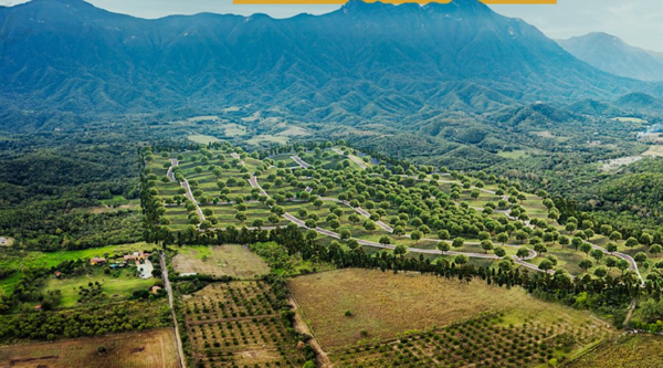 Terreno en Venta en Lazarillos de Arriba, Allende, Nuevo León 3