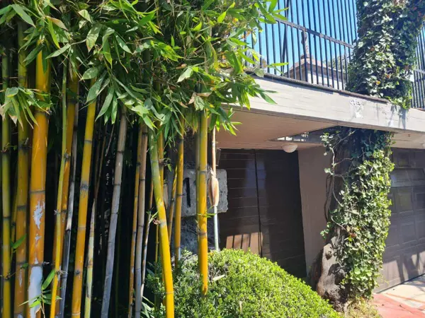 Casa en Venta en Jardines del Pedregal, Álvaro Obregón, Ciudad de México 1